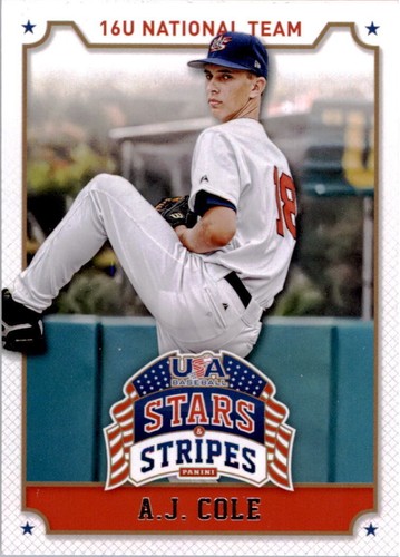 B5042 2015 usa - baseball, stars